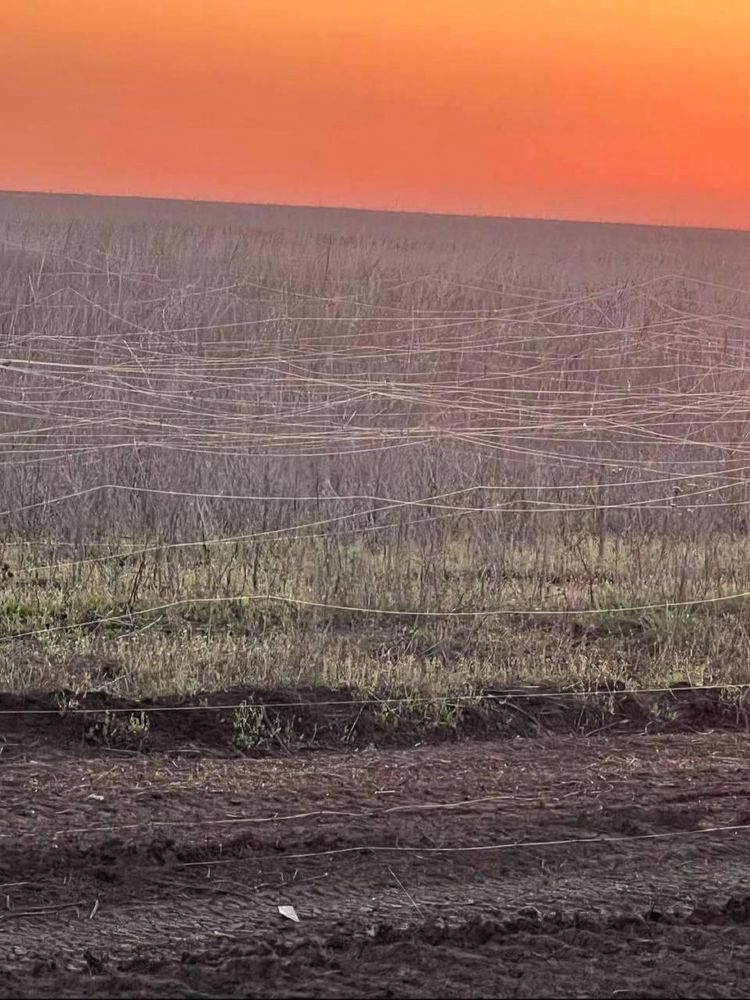 radio_fiber_field_ukraine